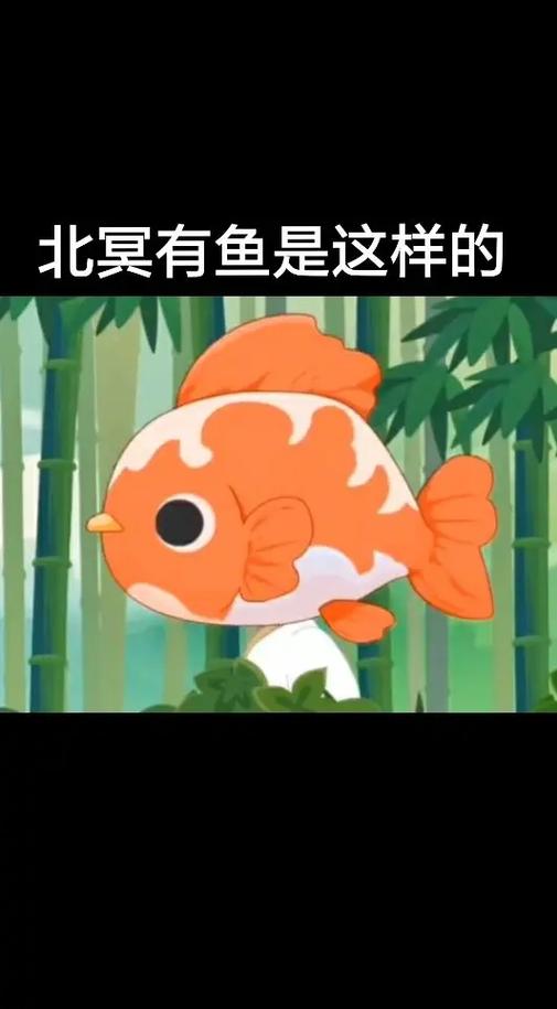 北冥的鱼kun蹲坑版合集