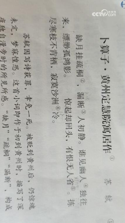 董卿朗诵《卜算子》缩略图