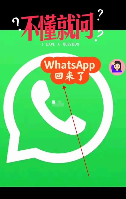 whatsapp2024最新版