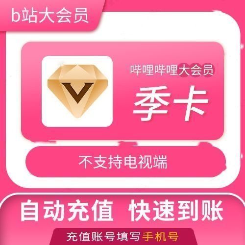 bilibili会员有什么用图标