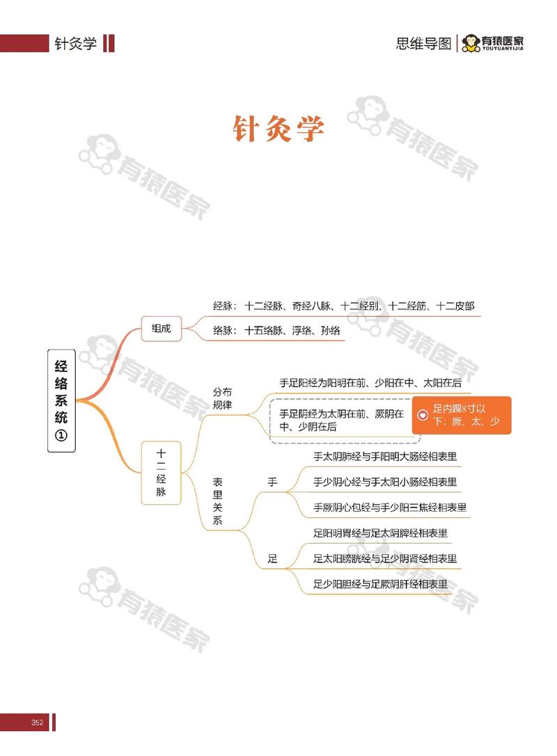 中国古典针灸学大纲pdf