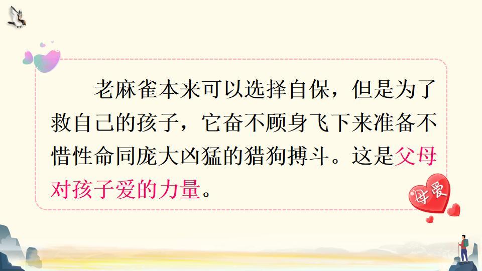 麻雀全文阅读