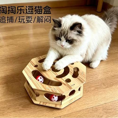 猫咪盒子