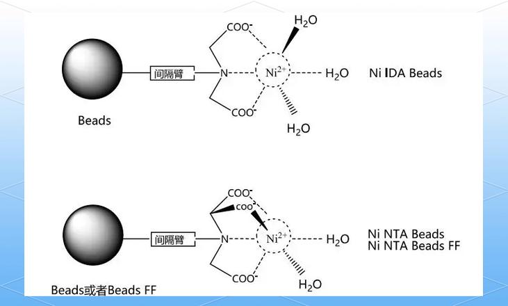 amphetamine深层含义