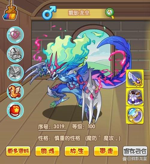 戮影龙皇进化路线