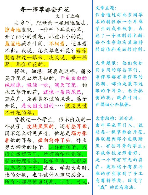 春草花开小说阅读