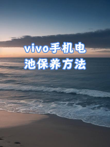 vivo手机电池管理