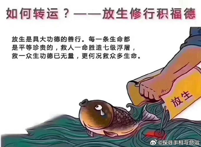 众生众生者