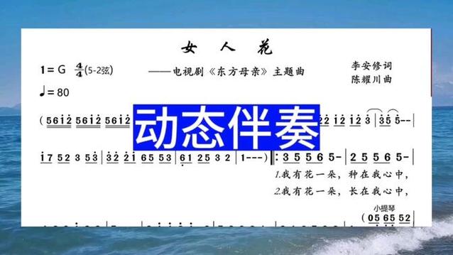 女人花d调伴奏曲