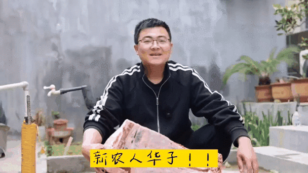 新农人华子过年视频