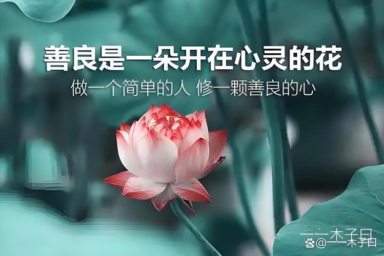 一束烛光百家号善心女是哪里的