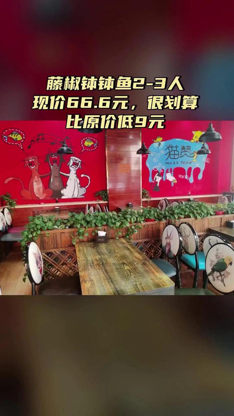 老款猫赞最建议买的三款缩略图