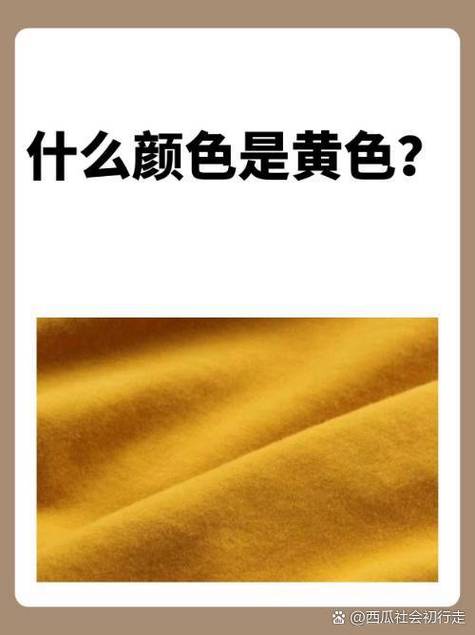 反色什么意思