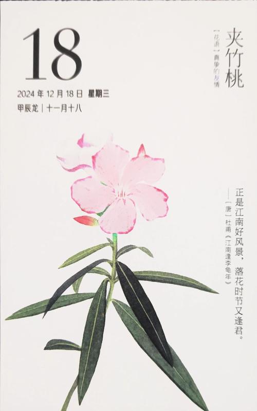 夹竹桃by晏南光好看吗