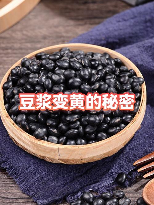 豆浆机做豆浆游戏截图