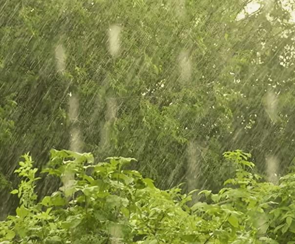 雨水季节漂亮图片