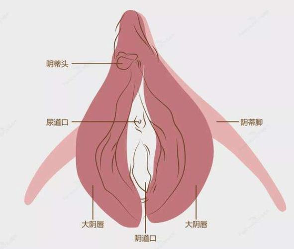 私密指的是什么
