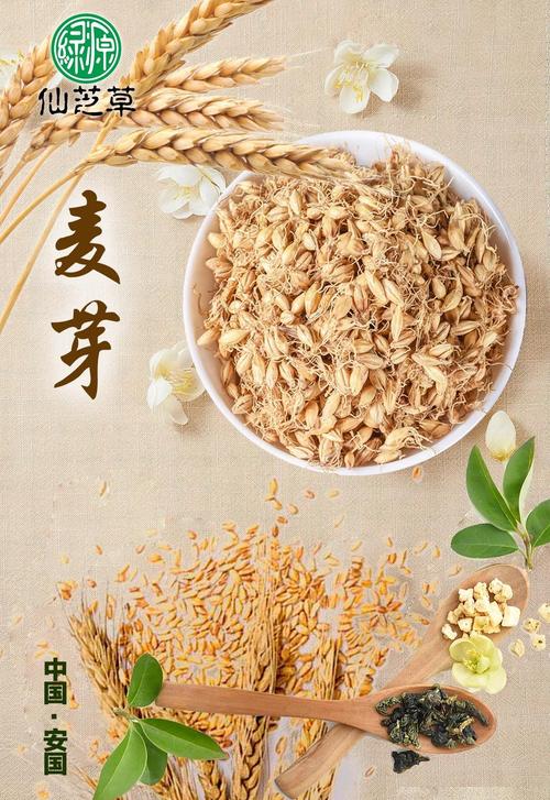 麦芽西兽是什么进化来的