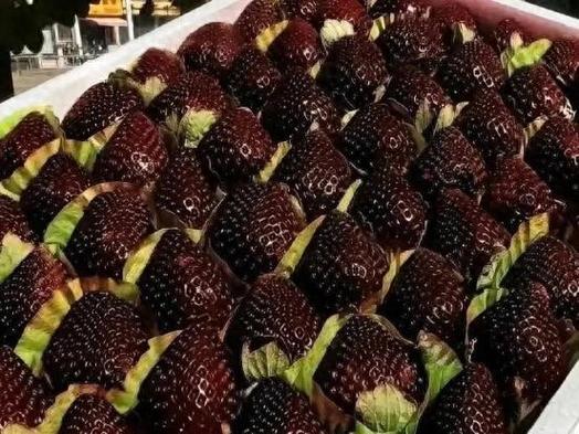 黑色草莓strawberry