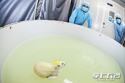床上有人老鼠敢爬吗