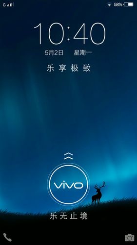vivo手机锁屏下面有圆形图标截图