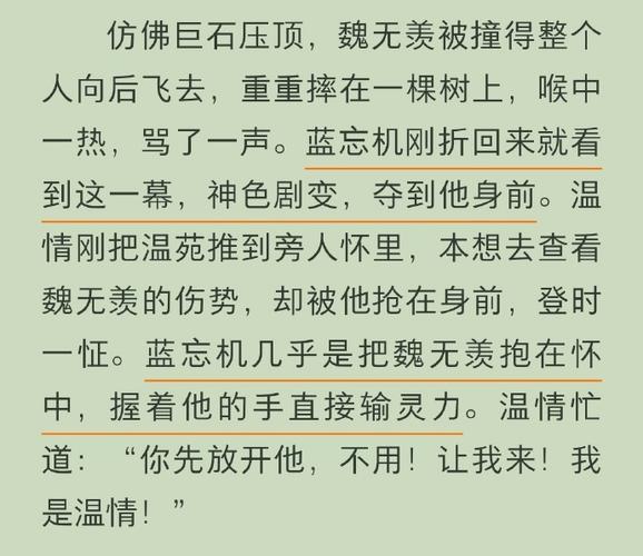 魔道祖师正版免费阅读截图