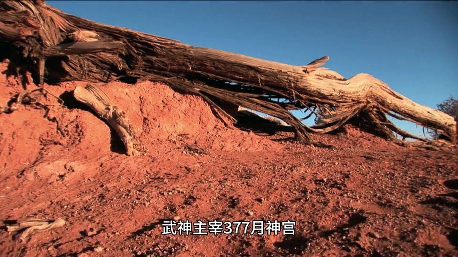 武神主宰精神种子怎么解决的