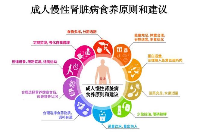 60岁老人的egfr标准是多少