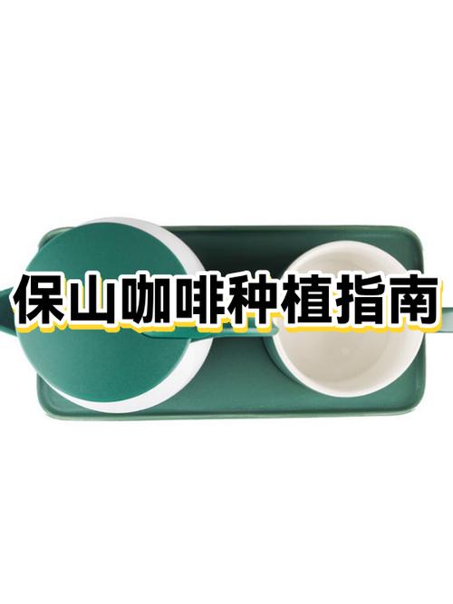 云南保山咖啡豆哪个品牌好缩略图