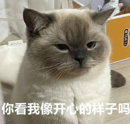 请你别拿我开心