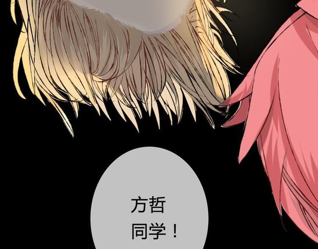 我不是精分14话