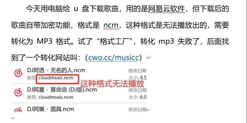 下载到优盘的歌听不了怎么办