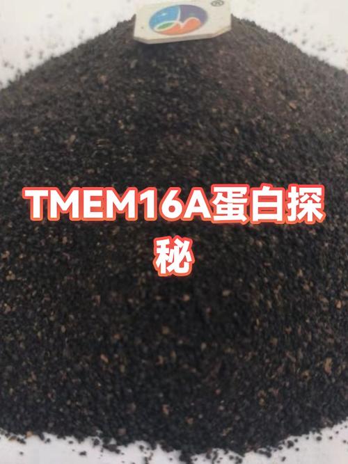 抖音叫小蛋白的女生