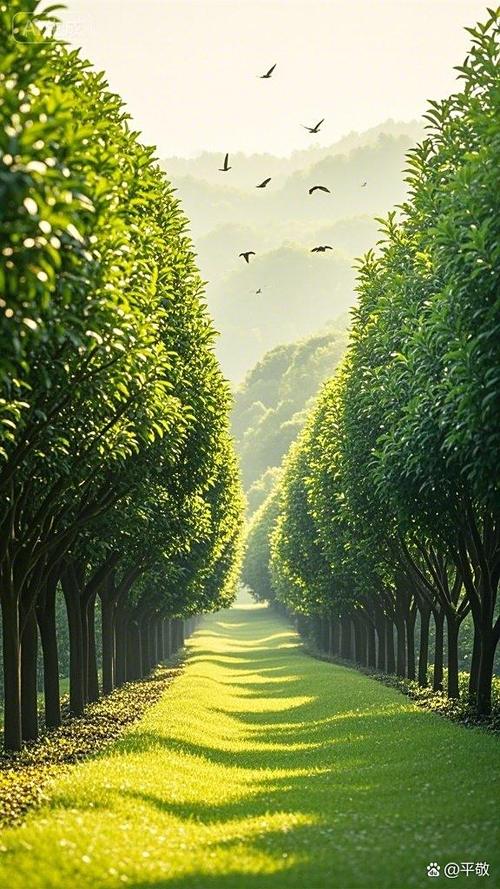 阳光下的治愈系风景