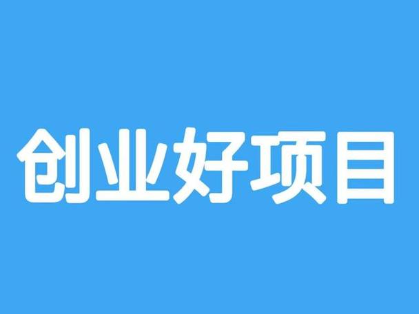 创业项目