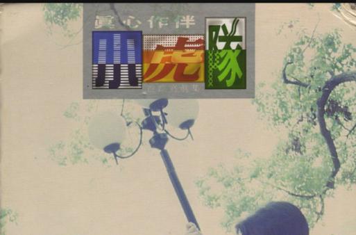 真心相伴