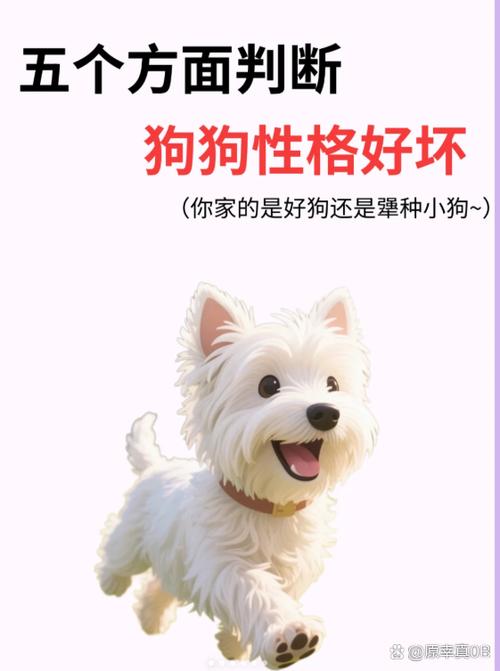 粘人的狗东西漫画免费阅读
