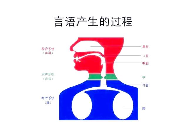 感觉自己发音不清晰