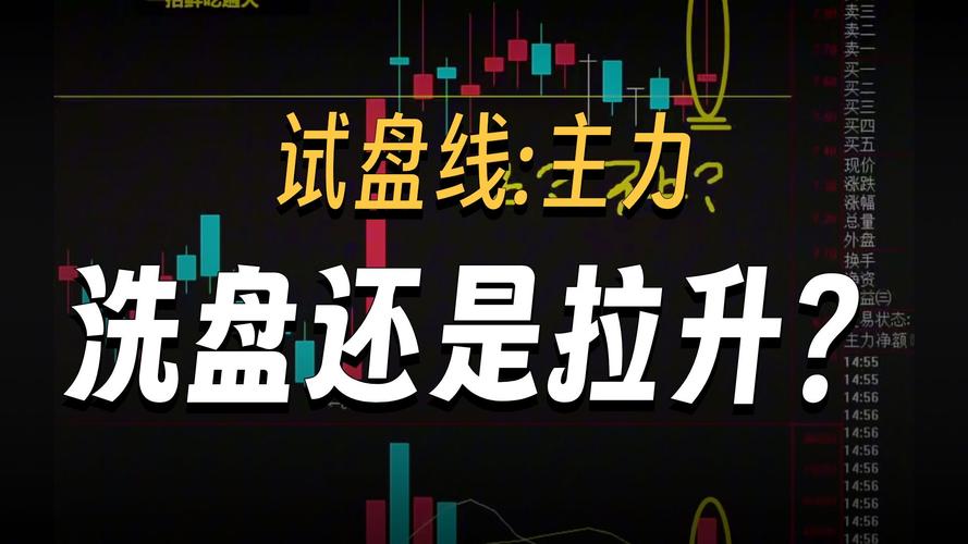 杨孝林试盘线教学直播截图