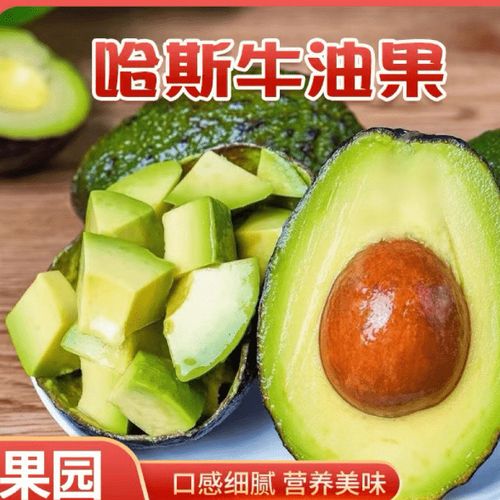 100g牛油果能量表