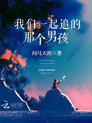 一部叫追的小说