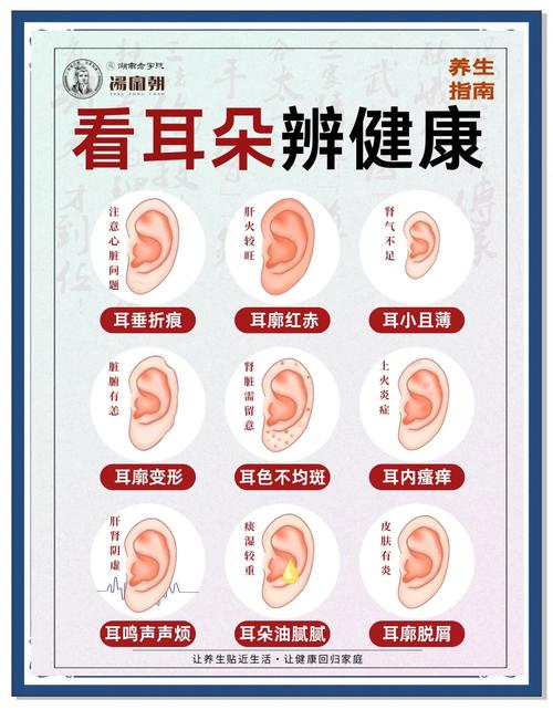 耳朵疼是什么原因图标