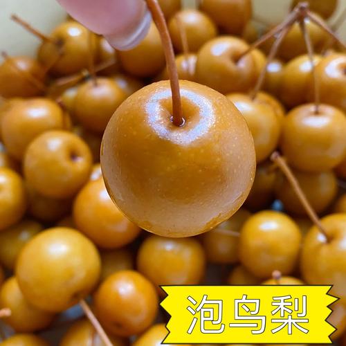 冰龙草和小黄梨哪个好游戏截图