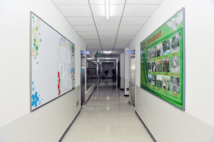 北大青鸟总校区是哪个校区