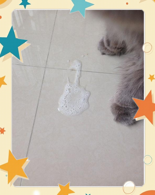 猫咪吐白泡沫要警惕了