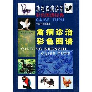 中国禽病网官网