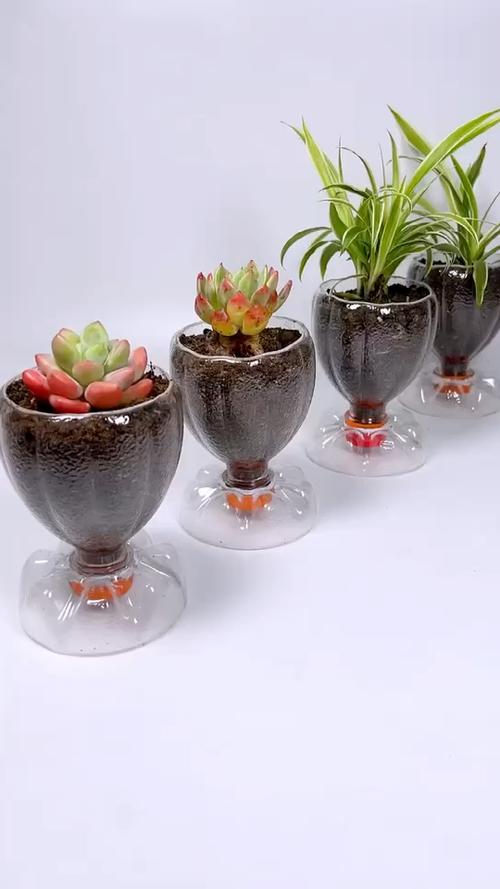 塑料花盆大全