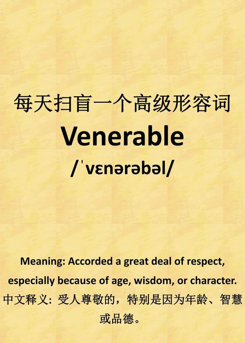 vena是什么意思