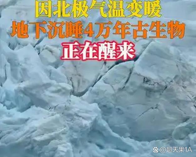 泰拉瑞亚冰霜月