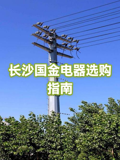 国金是什么意思截图